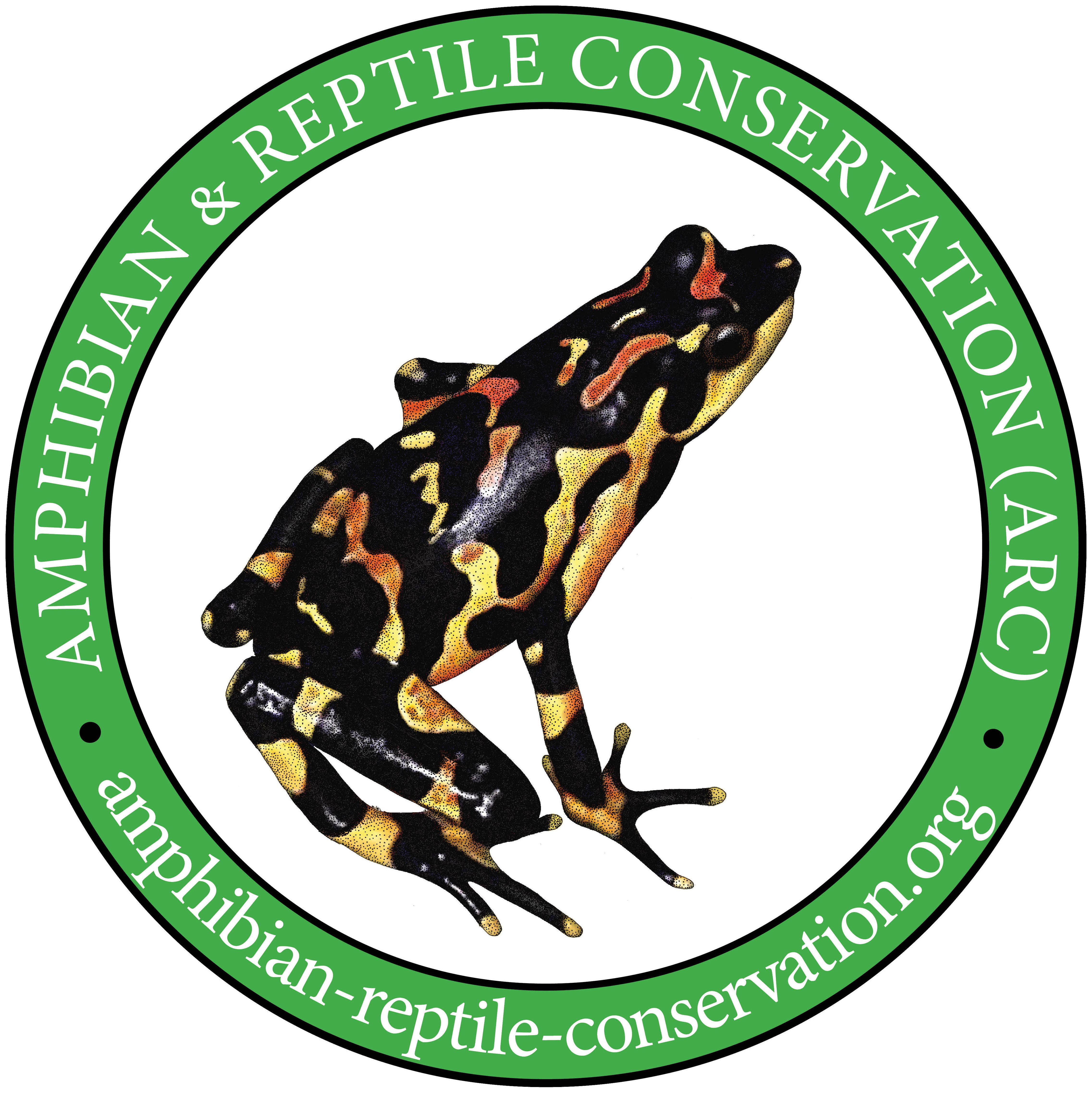 Ecological interactions between arthropods and small vertebrates in a lowland Amazon rainforest